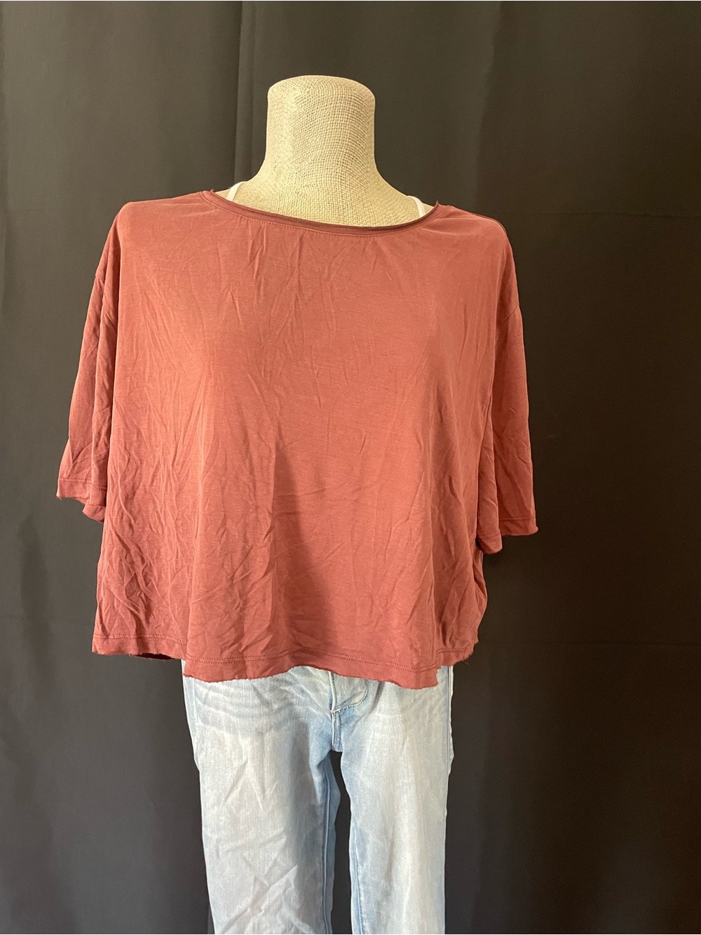 silence + noise Boxy Crop Top in Dusty Rose